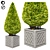 Giant Folded Thuja 1: Stunning 3D Model 3D model small image 1