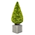 Giant Folded Thuja 1: Stunning 3D Model 3D model small image 2