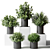 Kitchen Greenery: Small Indoor Plants in Stylish Pots 3D model small image 1