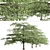 Flowering Pagoda Dogwood: Set of 2 Trees 3D model small image 5