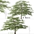 Flowering Pagoda Dogwood: Set of 2 Trees 3D model small image 1