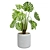 Botanical Bliss: Plant Collection 1 3D model small image 2