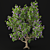 Premium Trees for Gardens and Streets 3D model small image 3