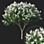 Title: Lagerstromia White Flowers - Realistic 3D Model 3D model small image 1