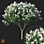 Title: Lagerstromia White Flowers - Realistic 3D Model 3D model small image 6
