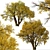 Fremont Cottonwood Trees: Natural Beauty 3D model small image 3