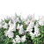 Lagerstroemia Tree: White Flowers 3D model small image 2