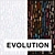 Evolution: Vinyl Wallpapers Collection 3D model small image 1