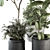 260 Indoor Plant Set - Pot Included 3D model small image 3