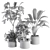 260 Indoor Plant Set - Pot Included 3D model small image 5