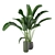 Green Fingers: Indoor Plants Set 3D model small image 2