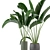 Green Fingers: Indoor Plants Set 3D model small image 3
