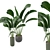 Green Fingers: Indoor Plants Set 3D model small image 6