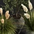 Green Oasis: 11 Indoor Plant Collection 3D model small image 5