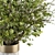 Elegant Green Branch Bouquet 3D model small image 3