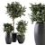 273 Indoor Plant Set - Pot Included 3D model small image 1