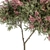 Crape Myrtle Tree Set: 50 Blooming Beauties! 3D model small image 3