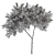 Crape Myrtle Tree Set: 50 Blooming Beauties! 3D model small image 4