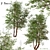 Water Birch Trees - Set of 2 3D model small image 1