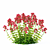 Valerian Red Flowers | Centranthus Ruber - Stunning Ornamental Plants 3D model small image 3