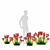 Valerian Red Flowers | Centranthus Ruber - Stunning Ornamental Plants 3D model small image 5