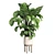 Wood Vase Indoor Plant Monstera 3D model small image 1