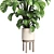 Wood Vase Indoor Plant Monstera 3D model small image 2