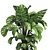 Wood Vase Indoor Plant Monstera 3D model small image 3