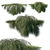Elegant Casuarina Glauca Tree 3D model small image 1