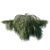Elegant Casuarina Glauca Tree 3D model small image 2