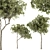 Petite Fringe Tree Set 49 3D model small image 2