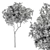 Petite Fringe Tree Set 49 3D model small image 7