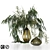 Green Elegance Bouquet: Glass Vases, Grass, and Eucalyptus 3D model small image 1