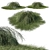 Casuarina Glauca 02: Versatile 3D Model 3D model small image 1