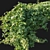 Virginia Creeper 03 - 2013 Millimeter Dimensions 3D model small image 2