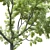 20' Landscape Tree: High Quality Poly & Verts, Corona Render 3D model small image 2