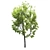 20' Landscape Tree: High Quality Poly & Verts, Corona Render 3D model small image 3