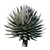 Agave Blue Glow: Stunning 2013 Design 3D model small image 2