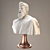 Elegant Roman Bust Sculpture 3D model small image 1