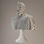 Elegant Roman Bust Sculpture 3D model small image 5