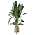 Ferm Living Bau Pot: Set of Large Indoor Plants 3D model small image 5