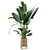 Ferm Living Bau Pot: Set of Large Indoor Plants 3D model small image 6