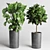 Concrete Vase Palm Tree Monstera 3D model small image 2