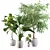 Exotic Indoor Plant Collection 3D model small image 1