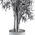 Ficus Benjamin Pot Plant Set 3D model small image 6