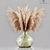 Elegant Pampas Grass Decor 3D model small image 1