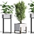 Nature's Oasis: Indoor Plant Set 3D model small image 1