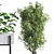 Nature's Oasis: Indoor Plant Set 3D model small image 3