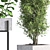 Nature's Oasis: Indoor Plant Set 3D model small image 4