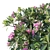 Plumeria Rubra: Exquisite Floral 3D Model 3D model small image 3
